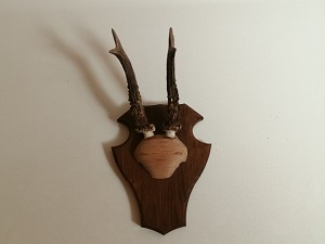 Apartamento MARKÓWKA 04